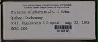 Image Associated With the Occurence